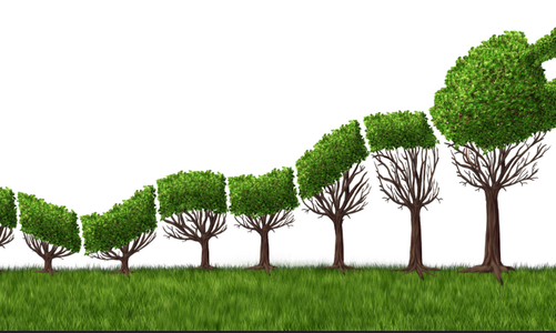 能源勢動(dòng)：電力行業(yè)的碳中和該如何實(shí)現(xiàn)？